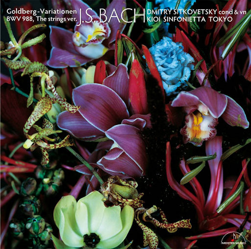 女女女女女女BBBBBB瓶交
